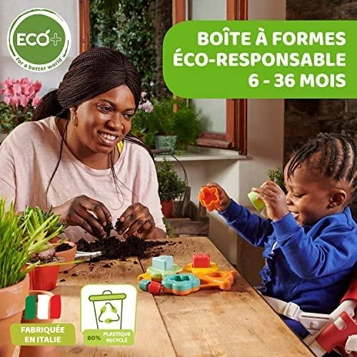 CHICCO Formelių rūšiavimo žaislas „Baobabas“