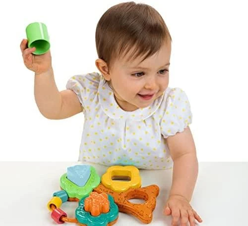 CHICCO Formelių rūšiavimo žaislas „Baobabas“