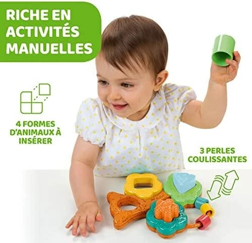 CHICCO Formelių rūšiavimo žaislas „Baobabas“