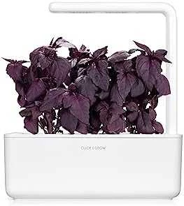 Click & Grow sėklos išmaniajam vazonui - Violetinis bazilikas, 3vnt.