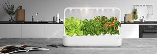 Click and Grow Smart Home 3 vnt. papildymas - bazilikų sėklos