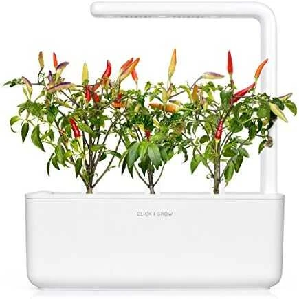 Click & Grow sėklos išmaniajam vazonui - Raudonieji aštrieji čili pipirai (SGR52x3) 3vnt.