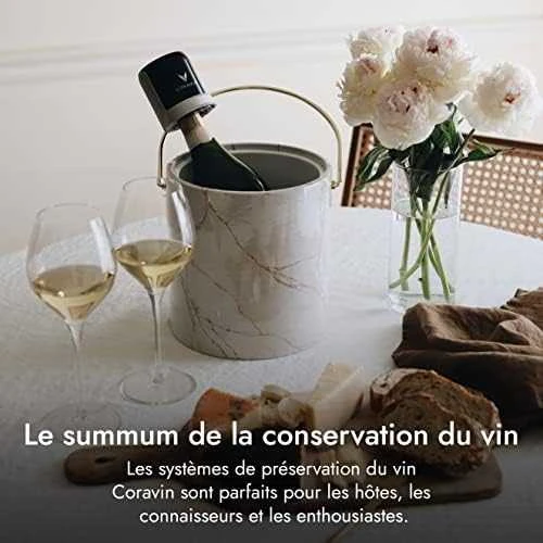 Coravin kapsulės "Pure Sparkling CO2 (20g)", 6 vnt