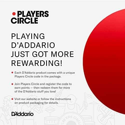 Stygos elektrinei gitarai D'Addario EXL120 .009