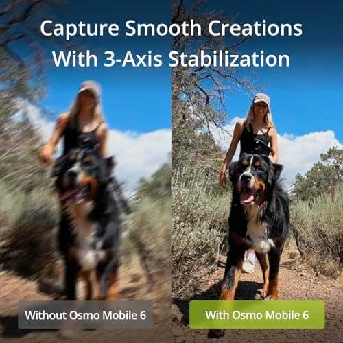 DJI Osmo Mobile 6  Gimbal (Platinum Gray) stabilizatorius