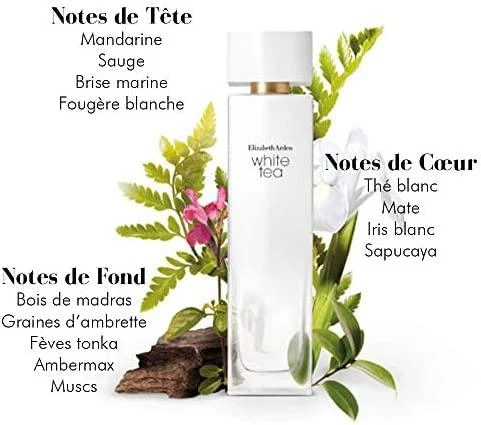 Kvepalai moterims Elizabeth Arden White Tea EDT, 100 ml