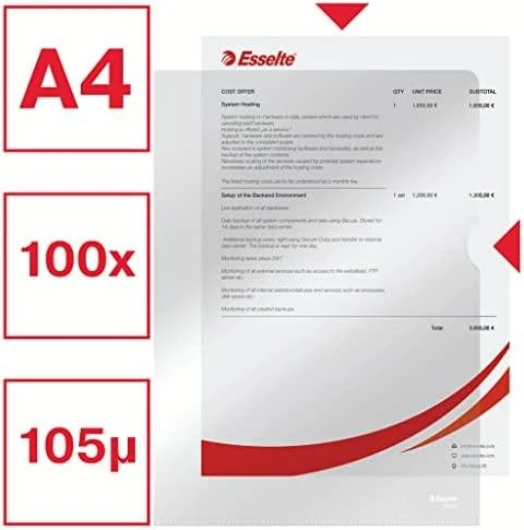 Esselte dokumentų įmautės A4 100 vnt