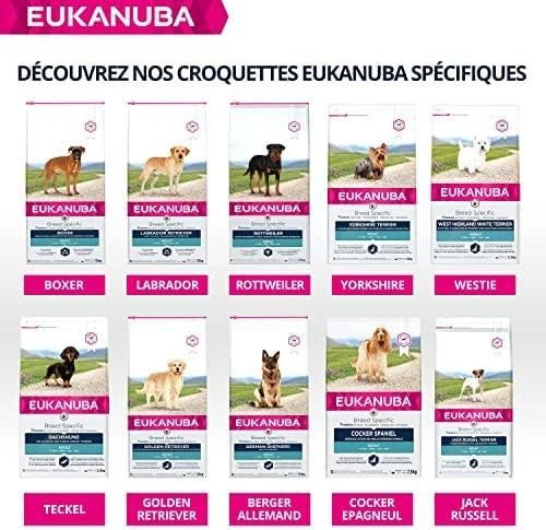 Eukanuba Adult Cocker Spaniel sausas maistas kokerspanieliams 7,5kg