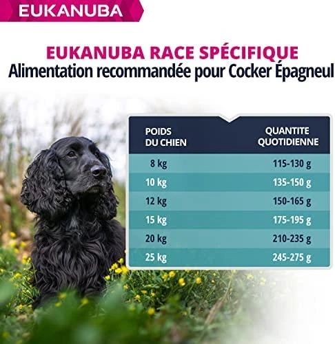 Eukanuba Adult Cocker Spaniel sausas maistas kokerspanieliams 7,5kg