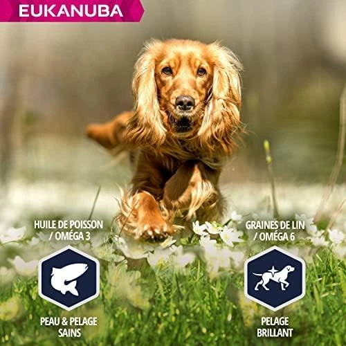 Eukanuba Adult Cocker Spaniel sausas maistas kokerspanieliams 7,5kg
