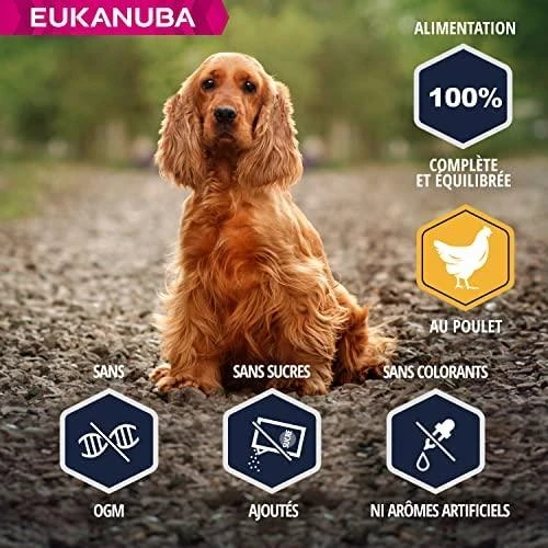Eukanuba Adult Cocker Spaniel sausas maistas kokerspanieliams 7,5kg