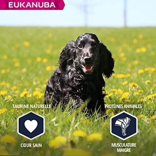 Eukanuba Adult Cocker Spaniel sausas maistas kokerspanieliams 7,5kg