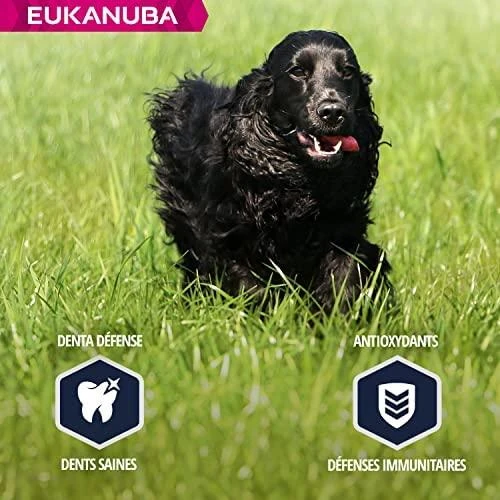 Eukanuba Adult Cocker Spaniel sausas maistas kokerspanieliams 7,5kg