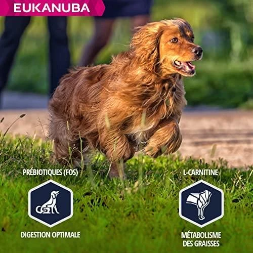 Eukanuba Adult Cocker Spaniel sausas maistas kokerspanieliams 7,5kg