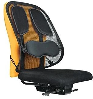 Nugaros atrama Fellowes Professional Series Mesh Back Support