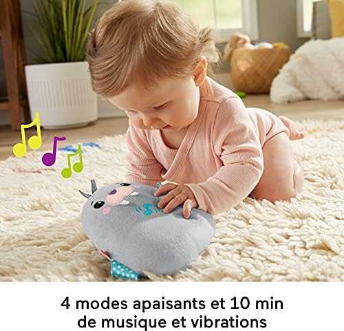 Mattel Fisher Price Walrus čiulptukas su vibracija GRT91
