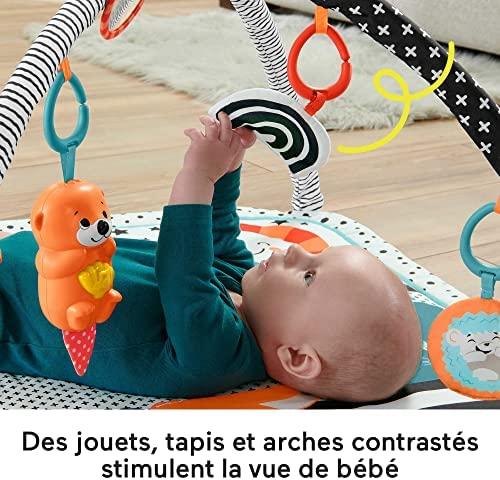 Fisher Price FP veiklos kilimėlis su šviečiančiu ir grojančiu gyvūnėliu