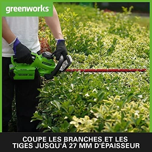 Greenworks Gyvatvorių genėtuvas 40V g40ht61 (tik įrankis)