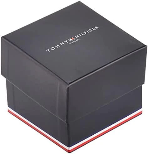 VYRIŠKAS LAIKRODIS TOMMY HILFIGER DAMON (zf008b)