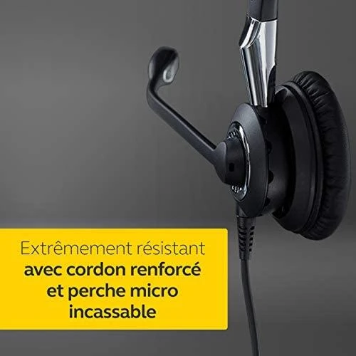 Ausinės su mikrofonu Jabra Biz 2400 II Duo