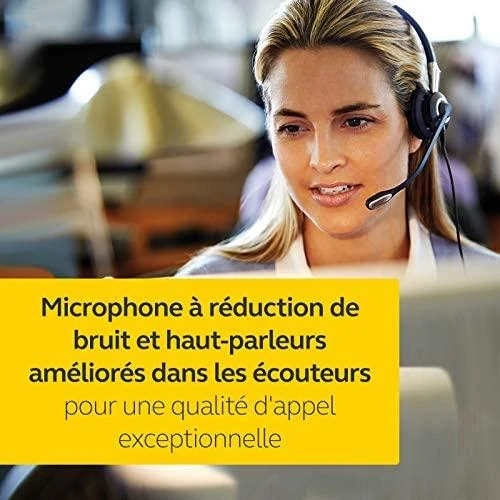 Ausinės su mikrofonu Jabra Biz 2400 II Duo