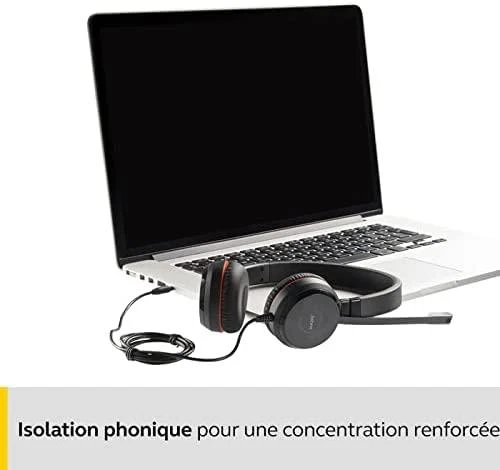 Ausinės Jabra Evolve 30 II HS Mono