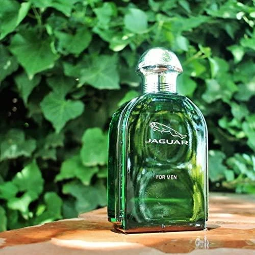 Kvepalai vyrams Jaguar For Men EDT, 100 ml