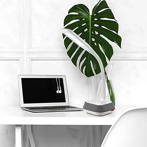 Platinet stalinė lempa su garsiakalbiu ir USB įkrovikliu PDLM6U 18W (44126)