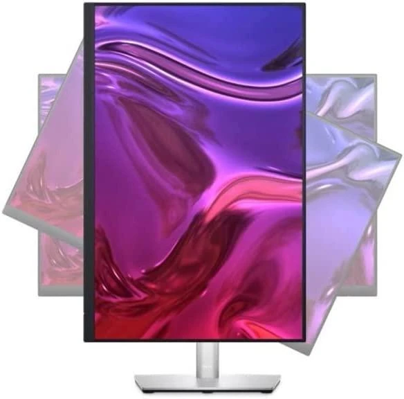 Monitorius Dell P2423 (210-BDFS)
