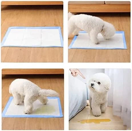 Purlov Absorbent hygienic pad - 100 pcs + bags