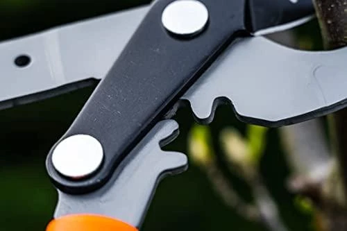 Sekator Teleskopinės šakų genėjimo žirklės NEO 15-253 665-965 mm