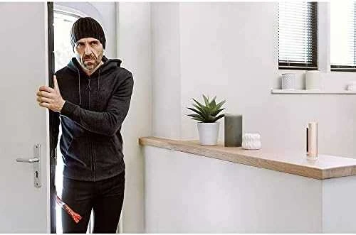 Netatmo Welcome išmanioji vidaus apsaugos kamera