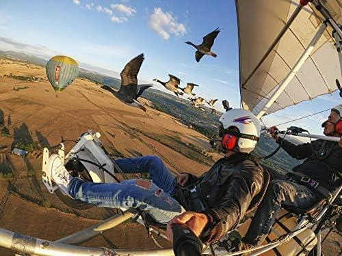 Apsauginiai GoPro HERO8 ekrano ir objektyvo stikliukai, 4 vnt.