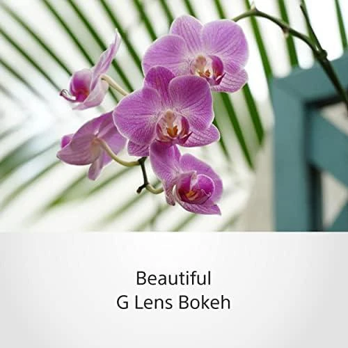SONY SEL-P18105G Objektyvas