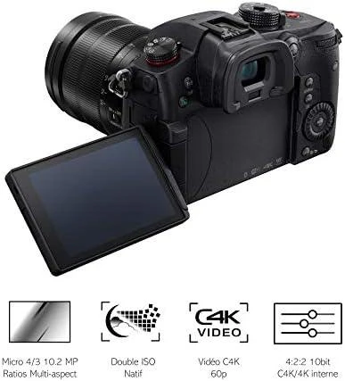 Panasonic Lumix GH5S korpusas