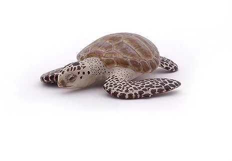 Papo figūrėlė Jūrų vėžlys