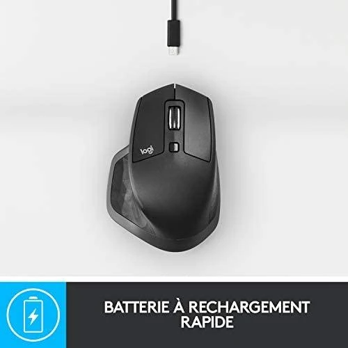 Belaidė pelė Logitech® MX Master 2S Grafito spalvos