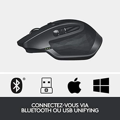 Belaidė pelė Logitech® MX Master 2S Grafito spalvos