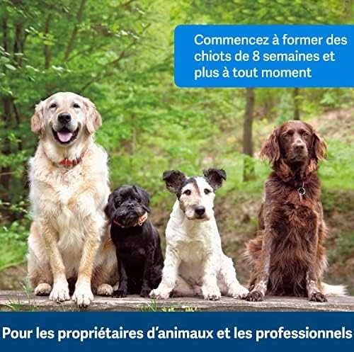 Petsafe Clik-R™ Clicker Training Tool klikeris