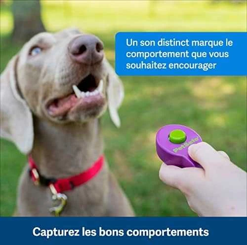 Petsafe Clik-R™ Clicker Training Tool klikeris