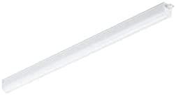 Philips LED BAR BN021C LED10S / 840 L600