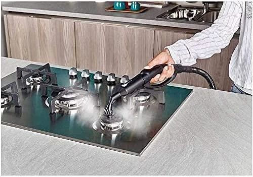 Polti | Steam cleaner | PTEU0280 Vaporetto Pro 95_Turbo Flexi | Power 1100 W | Steam pressure 5 bar | Vanduo tank capacity 1.3 L | Juodas/Žalias