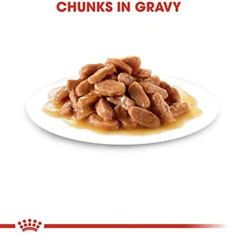 Royal Canin Kitten Jelly 12x85g