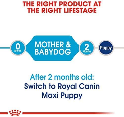 Royal Canin Maxi Starter 15kg
