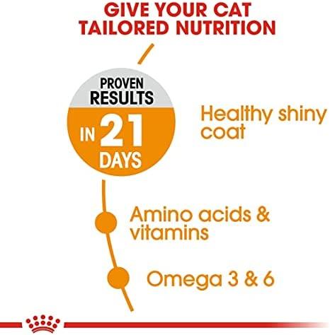Royal Canin plaukų ir odos priežiūros priemonė 10 kg