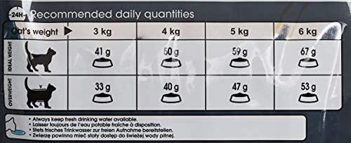 Royal Canin plaukų ir odos priežiūros priemonė 10 kg