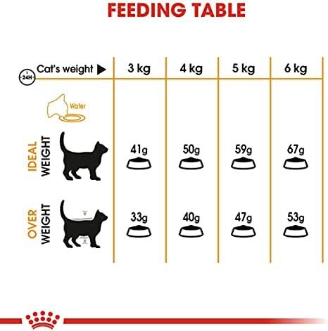 Royal Canin plaukų ir odos priežiūros priemonė 10 kg