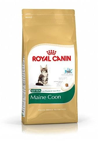 Royal Canin Maine Coon Kitten 2kg