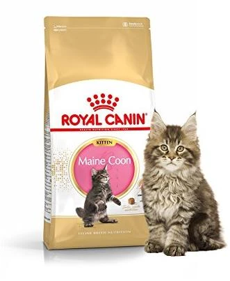Royal Canin Maine Coon Kitten 2kg