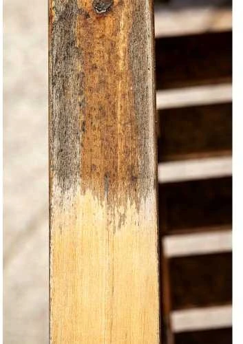 Nailoninis šepetys medienos sendinimui MRS1300 125x100m 125x 125x100mm, Scheppach